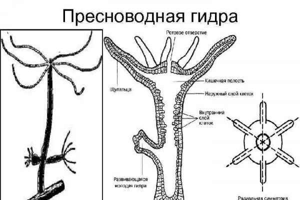 Сайт меги ссылка для тор