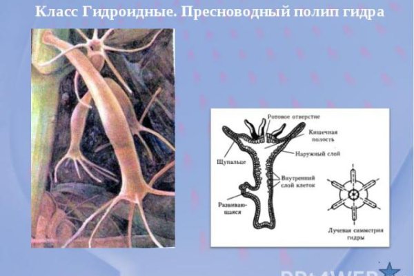 Мега даркнет маркет бот