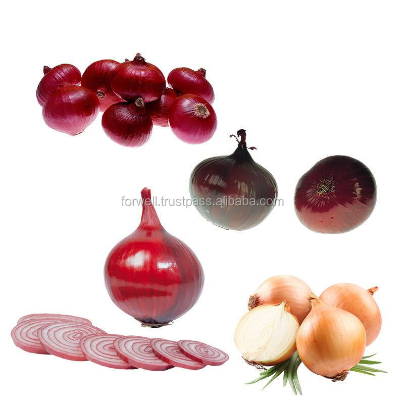 BlackSprutruzxpnew4af onion com tor